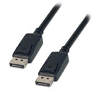 DisplayPort To DisplayPort (M/M) 10FT Cable