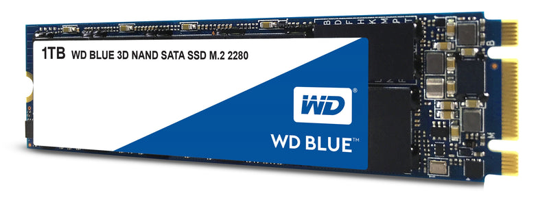 WD Blue 3D NAND 1TB Internal PC SSD - SATA III 6 Gb/s, M.2 2280, Up to 560 MB/s - WDS100T2B0B